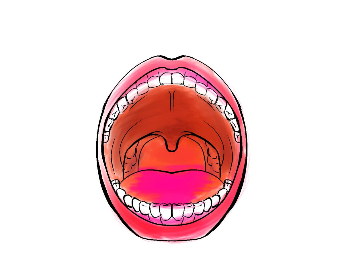 扁桃腺について知っておこう！